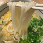 Yari Udon - 