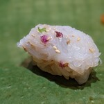 Sushi Kotona - ヤリイカ