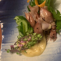 先斗町 四季 よし菜 - 