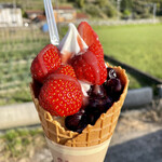 あさむらいちご園 - 