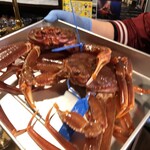 肉ノ匠 炭家 - 