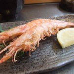 梅乃寿司 - 2013/02　車海老焼