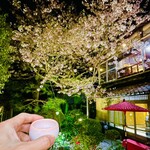 坪希 - 最高だろ