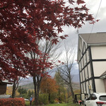 喫茶 春の音 - 秋の風景♪