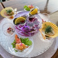 スミレオオサカ - 