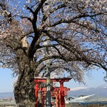 らー麺　Do・Ni・Bo - 遠くに月山が見える〜✨✨✨