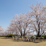 Nikkoen Bbq＆Party Garden - 桜が満開の頃のBBQガーデン