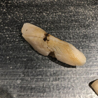 鮓ぱんち - 平貝　磯辺焼きの味　黒七味がアクセントだが中に海苔が仕込んであるので磯辺焼き。