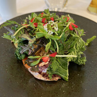 RISPETTO - 