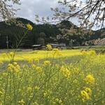 三たてそば 長畑庵 - 