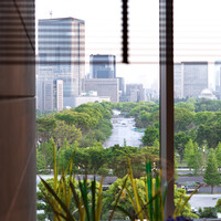 和田倉 - 個室からの眺め