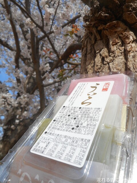 Gojo Itsuhashi photo 3