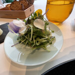 ナベノ-イズム - 