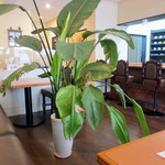 森のくじら - 雨上がり決死隊のドラマ撮影もあったそうな。