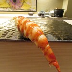 鮨 たかはま - 車海老