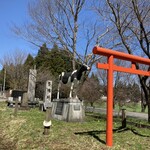 Tumbleweed burgers cafe - お店の隣には牛！ここに車を停めて待ちます