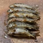 旬菜 おぐら家 - モロコ炭火焼き