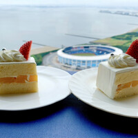 スカイクルーズマクハリ アパホテル＆リゾート東京ベイ幕張 - 