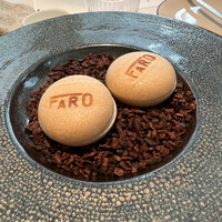 FARO - 