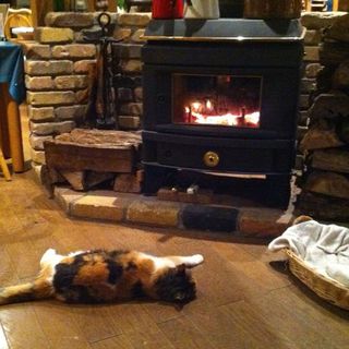 東福寺野倶楽部_2