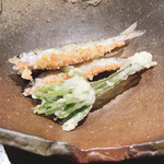 酒飯烹成 - 稚鮎の天ぷらとコシアブラ