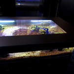 Collage - アクア、熱帯魚が泳ぐ水槽テーブル（◎0◎）