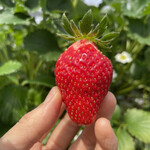 姫路ハートフル観光農園 - 