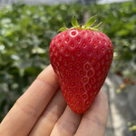 姫路ハートフル観光農園 - 