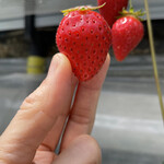 姫路ハートフル観光農園 - 