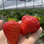 姫路ハートフル観光農園 - 