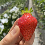 姫路ハートフル観光農園 - 