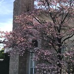 インコントラーレ - 