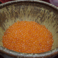 本湖月 -  本湖月 -