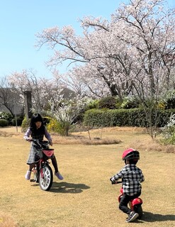Nikkoen Bbq＆Party Garden - 子供用自転車やストライダーご持参ください
