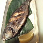 Akabeko - 捕れたて旬の「焼き魚」