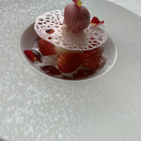 サーラ アマービレ -  サーラ アマービレ -