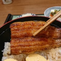 うなぎ処 古賀  - 