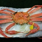 石森亭 - メインのズワイガニ一匹。黄色のタグは福井県産・越前がにの証し。