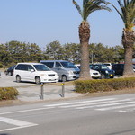 魚貝料理 たかはし - 駐車場はお店の真ん前の富津公園（無料）
