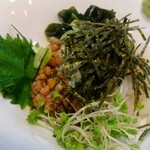 菊乃家本店 - お上品ないか納豆