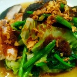 菊乃家本店 - 春キャベツの炒め