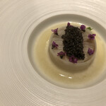 Alternative - ウドとアオリイカ