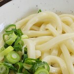 こんぴらうどん - 