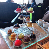 タワーズバー ベロビスト - プティフール