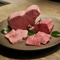 USHIGORO S. SHINJUKU - 