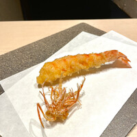 新宿 鮨 よこ田 - ⑧車海老（鹿児島産）