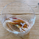 ヴィラ・アイーダ - 