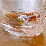 ヴィラ・アイーダ - 