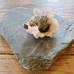 ヴィラ・アイーダ - 