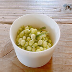 ヴィラ・アイーダ - 